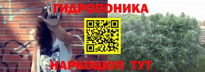 spice Кулебаки