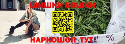 индика Кунгур
