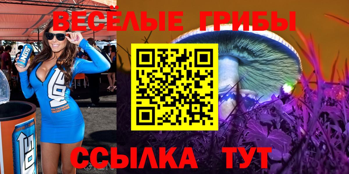 Галлюциногенные грибы GOLDEN TEACHER  Вход с VPN  Видное 