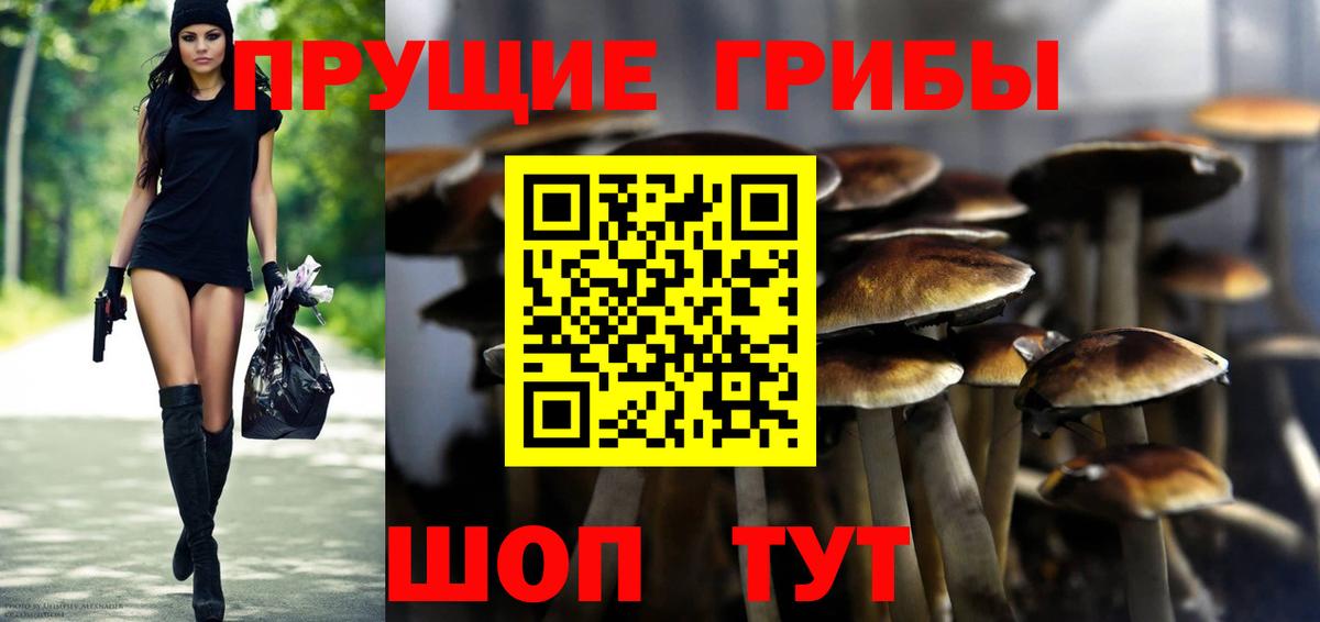 Псилоцибиновые грибы Psilocybine cubensis Видное